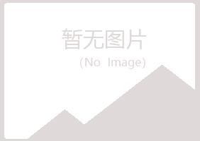 河南冰夏能源有限公司